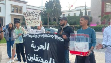 شباب كيقولو: بغينا عدالة اجتماعية… ماشي وعود فالهوا!