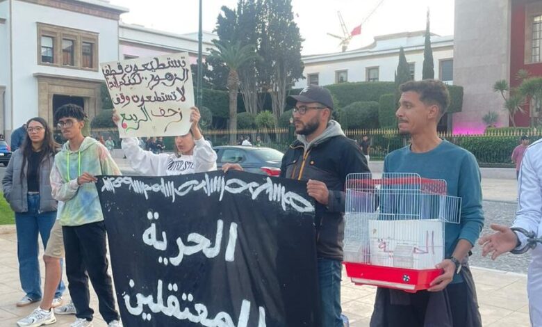 شباب كيقولو: بغينا عدالة اجتماعية… ماشي وعود فالهوا! شباب كيقولو: بغينا عدالة اجتماعية… ماشي وعود فالهوا!