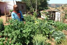 الغدا… ملي كتبان السياسة فالمائدة