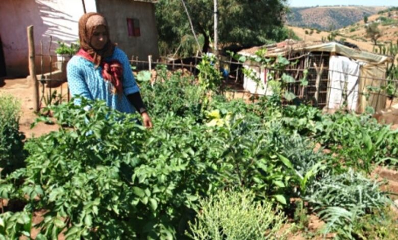 الغدا… ملي كتبان السياسة فالمائدة