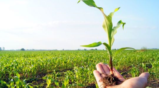 التنافسية المستدامة: حين تفضح الأرقام إفلاس النموذج التنموي