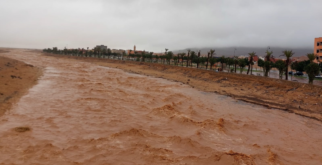 حين تُعلَّق الدراسة… ولا تُعلَّق الأسئلة