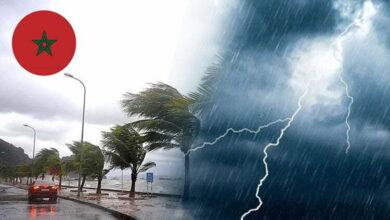 حين يفشل التكيف وينجح الخطاب